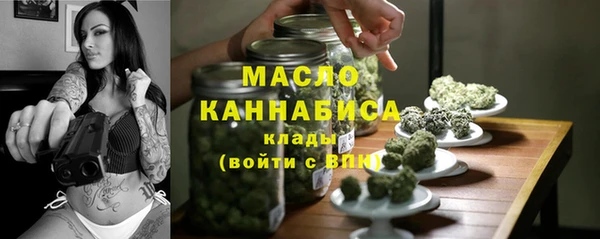 хмурый Арсеньев