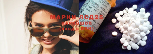 прущие грибы Балабаново