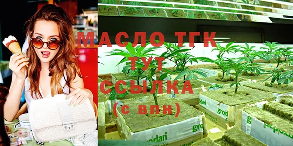 индика Аркадак