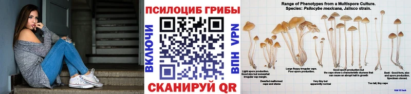 что такое   Малоярославец  Псилоцибиновые грибы прущие грибы 